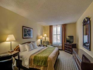 Hotel Comfort &