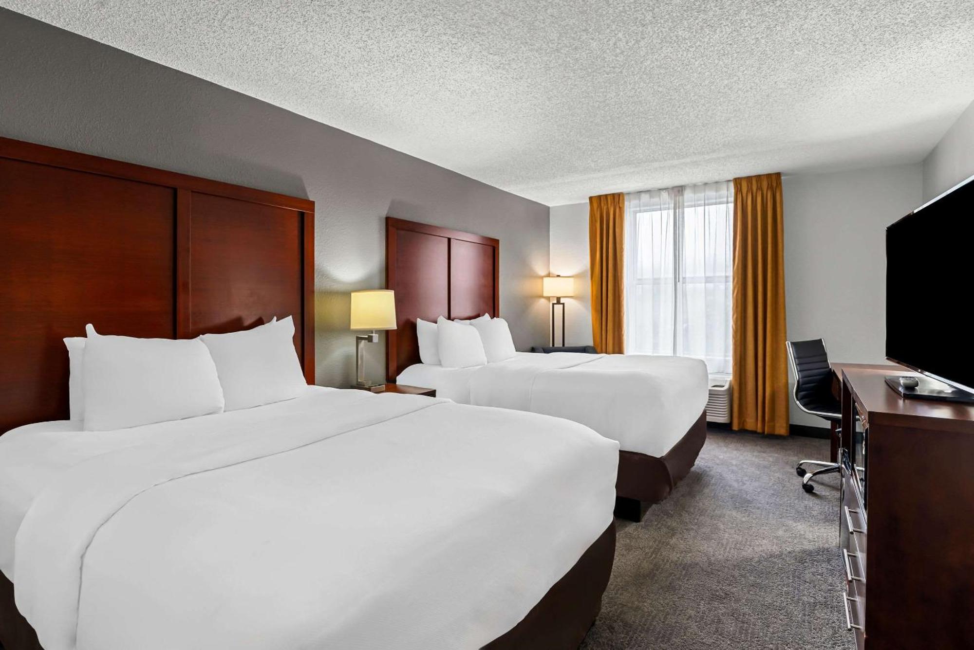 Comfort & 2* Staunton