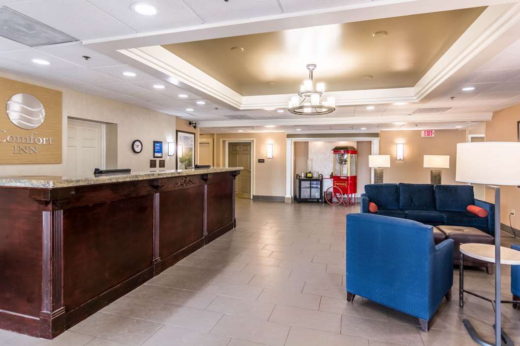 Comfort & Hotel Staunton