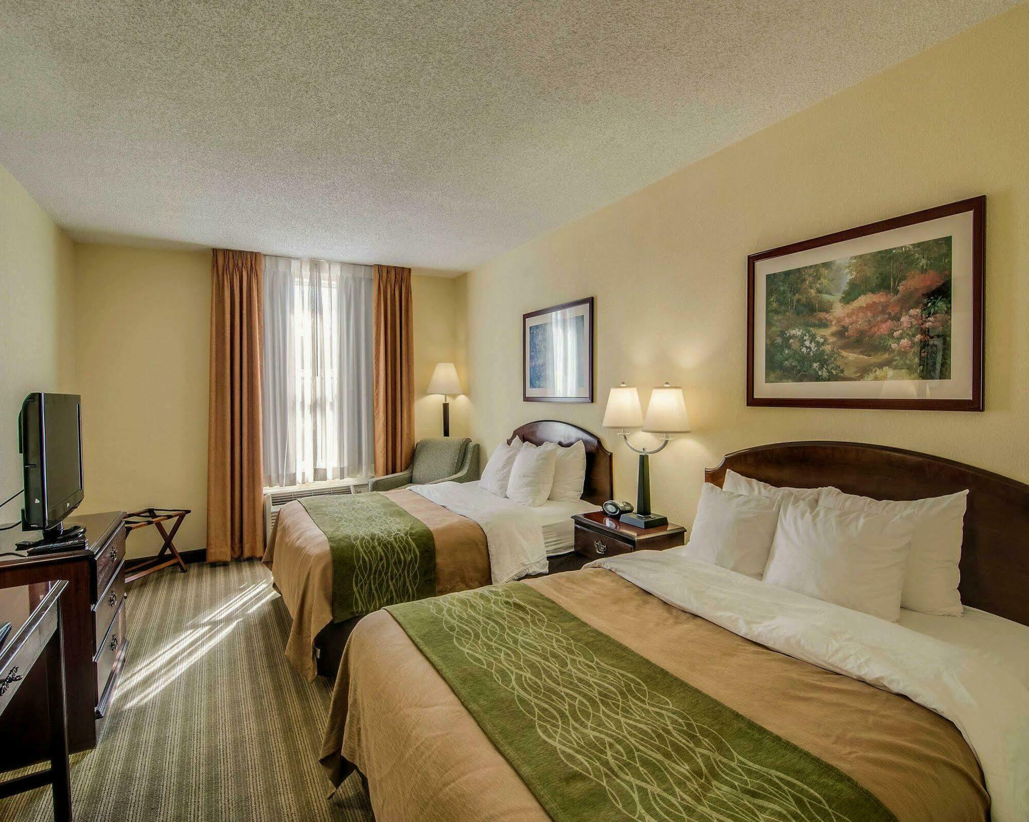 Comfort & 2* Staunton